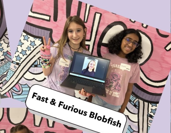 Girls meeting a mentor on a video call